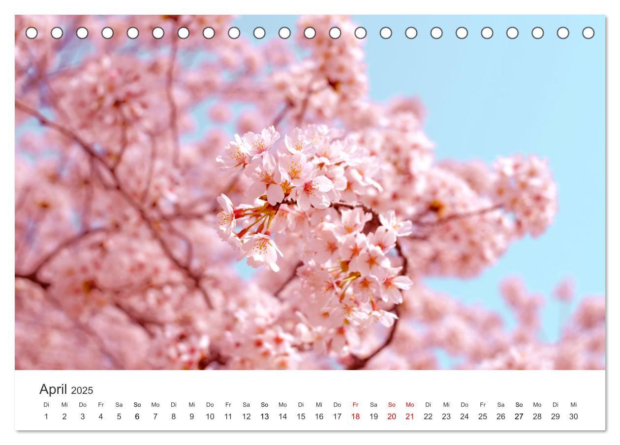 Bild: 9783435073689 | Japan - Land der Kontraste (Tischkalender 2025 DIN A5 quer),...