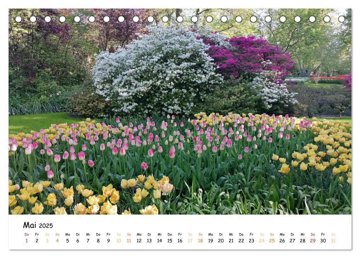 Bild: 9783383923623 | Auf Tour im Land der Tulpen (Tischkalender 2025 DIN A5 quer),...