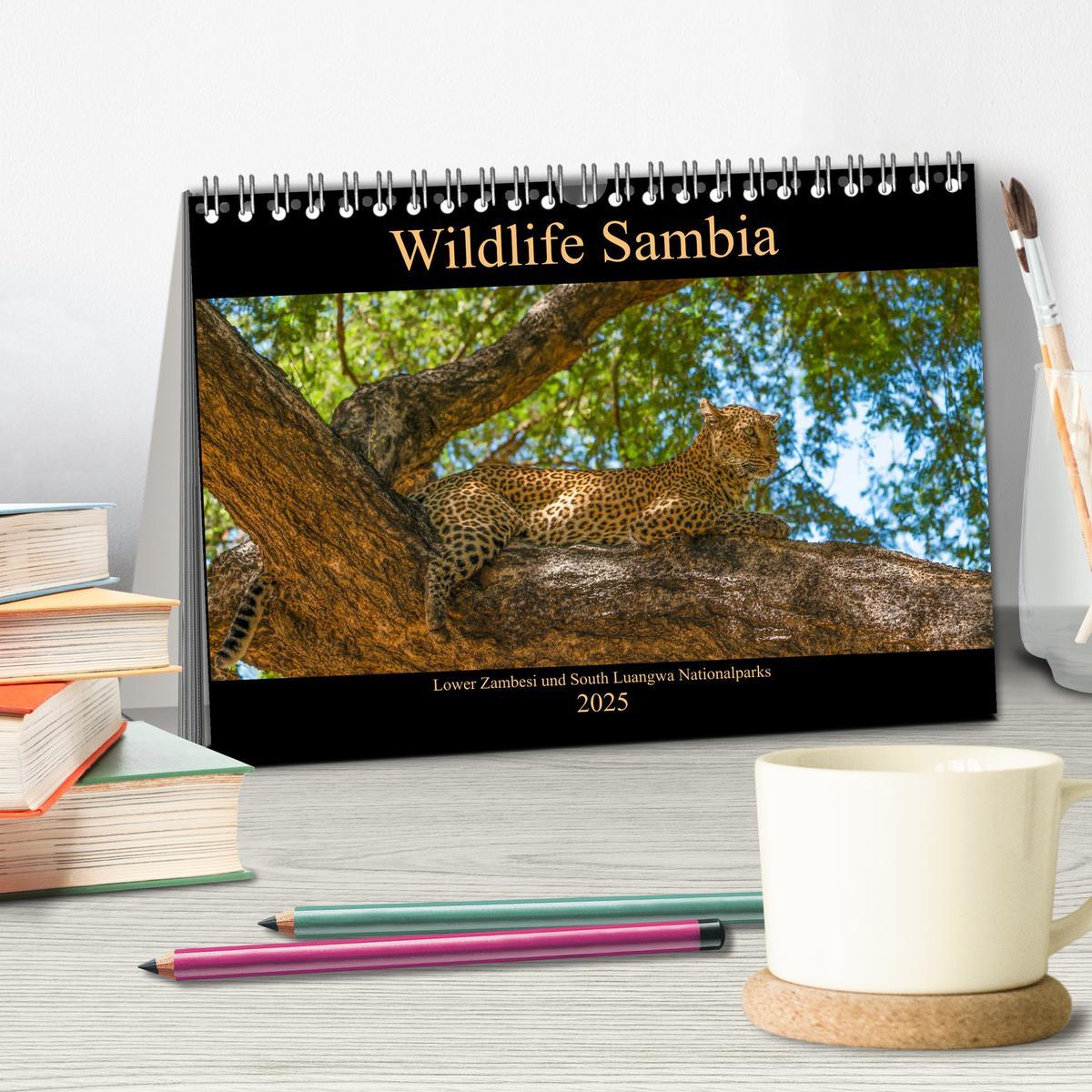 Bild: 9783435312283 | Wildlife Sambia (Tischkalender 2025 DIN A5 quer), CALVENDO...