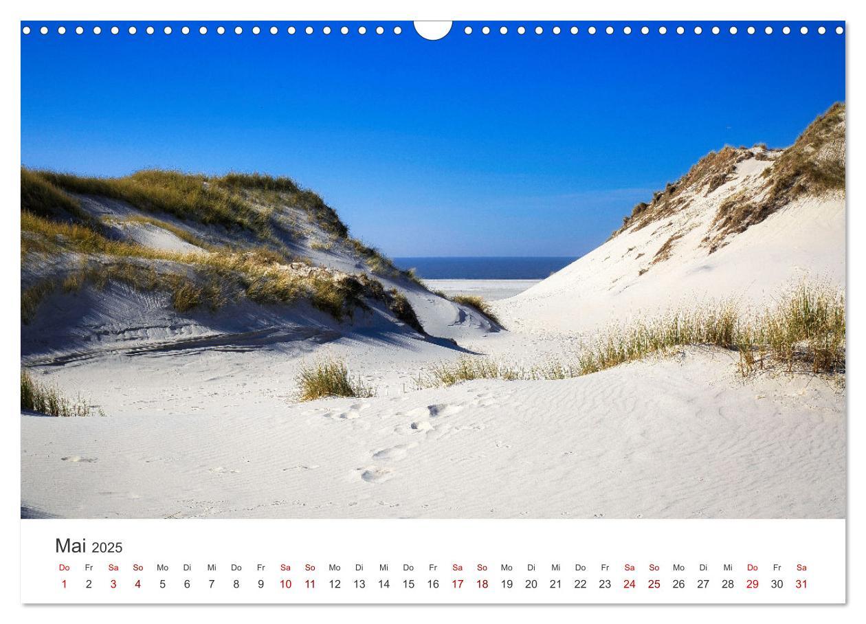 Bild: 9783435016471 | Amrum - Perle der Nordsee (Wandkalender 2025 DIN A3 quer), CALVENDO...