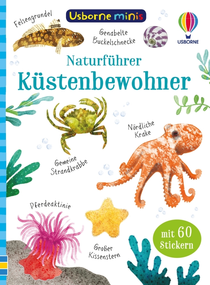 Cover: 9781035701544 | Usborne Minis Naturführer: Küstenbewohner | Simon Tudhope | Buch