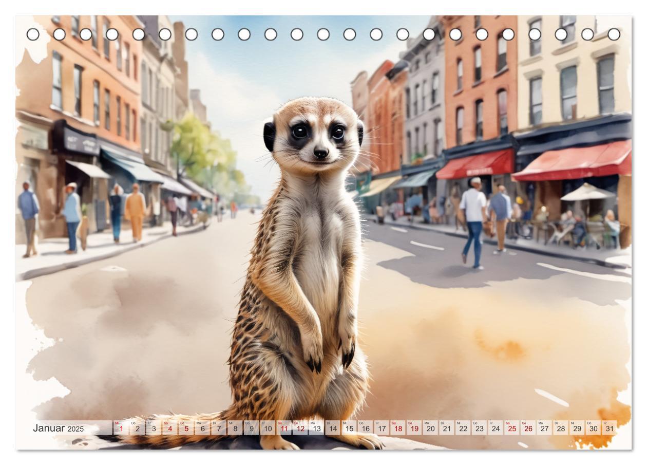 Bild: 9783383797972 | Erdmännchen in New York City (Tischkalender 2025 DIN A5 quer),...