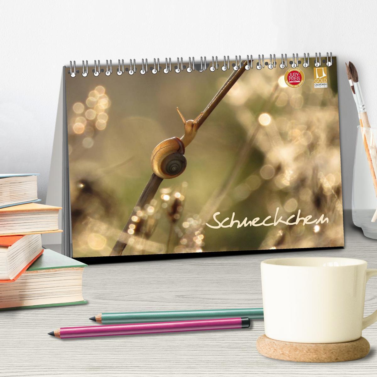 Bild: 9783435633623 | Schneckchen (Tischkalender 2025 DIN A5 quer), CALVENDO Monatskalender