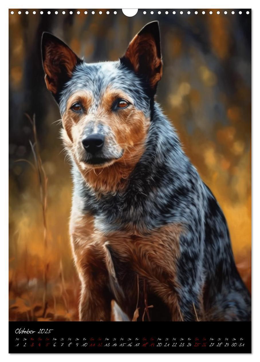 Bild: 9783435877072 | Australian Cattle Dogs (Wandkalender 2025 DIN A3 hoch), CALVENDO...