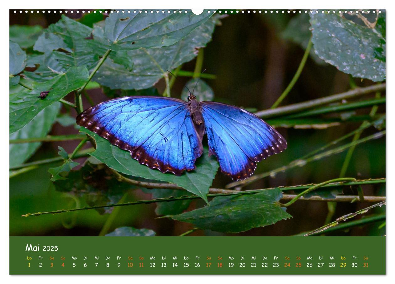 Bild: 9783383830099 | Costa Rica - Naturparadies zwischen Karibik und Pazifik...