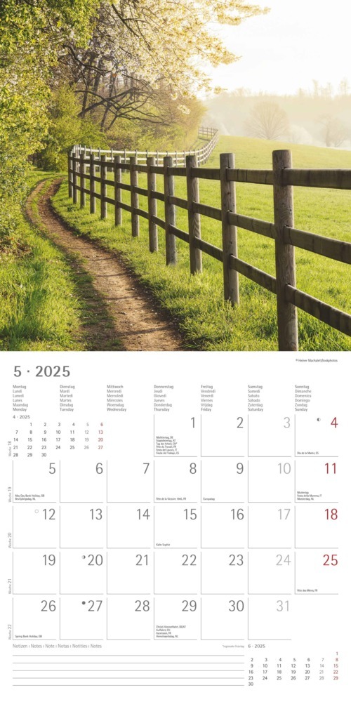 Bild: 4251732340919 | Alpha Edition - Wege 2025 Broschürenkalender, 30x30cm, Wandkalender...