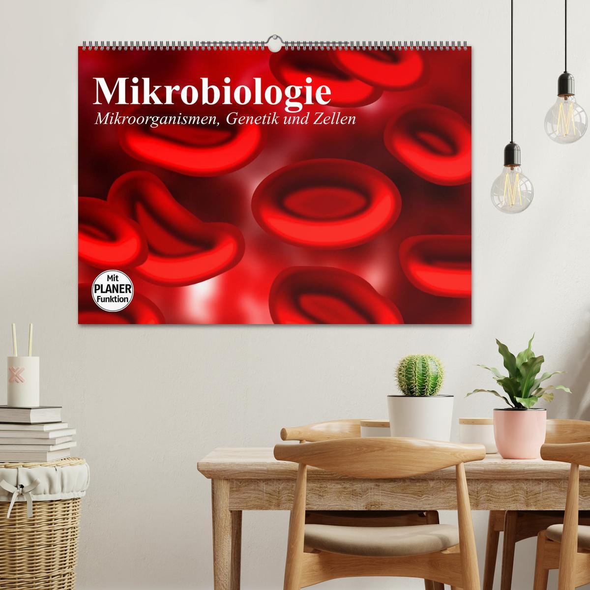 Bild: 9783435482962 | Mikrobiologie. Mikroorganismen, Genetik und Zellen (Wandkalender...