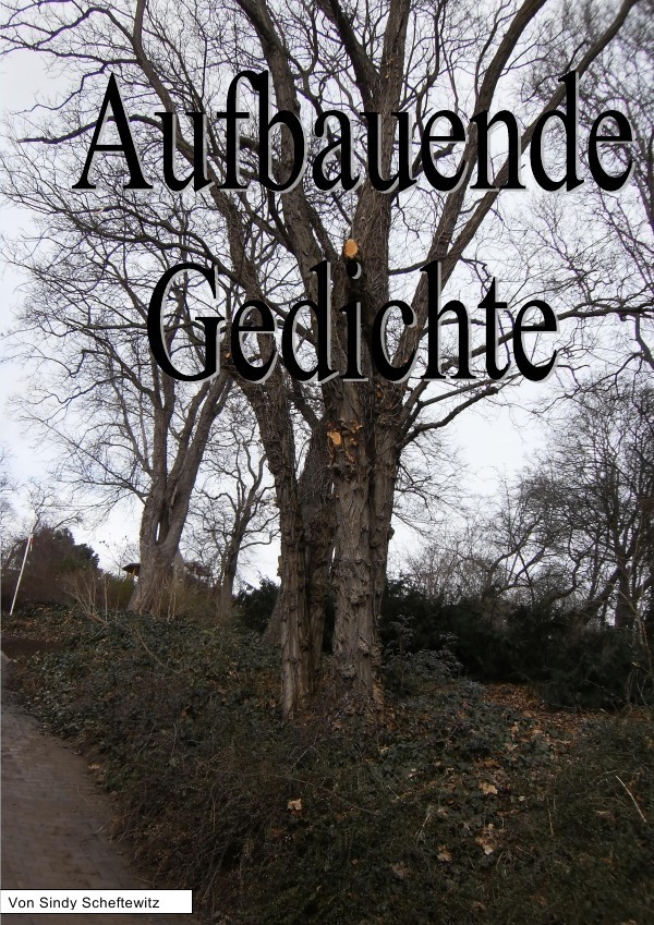 Cover: 9783844209334 | Aufbauende Gedichte | Gedichte | Sindy Scheftewitz | Taschenbuch