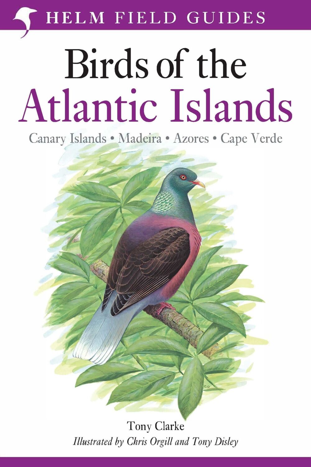 Cover: 9780713660234 | Field Guide to the Birds of the Atlantic Islands | Tony Clarke | Buch