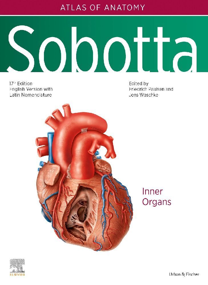 Cover: 9780702067662 | Sobotta Atlas of Anatomy, Vol. 2, 17th ed., English/Latin | Buch | XX