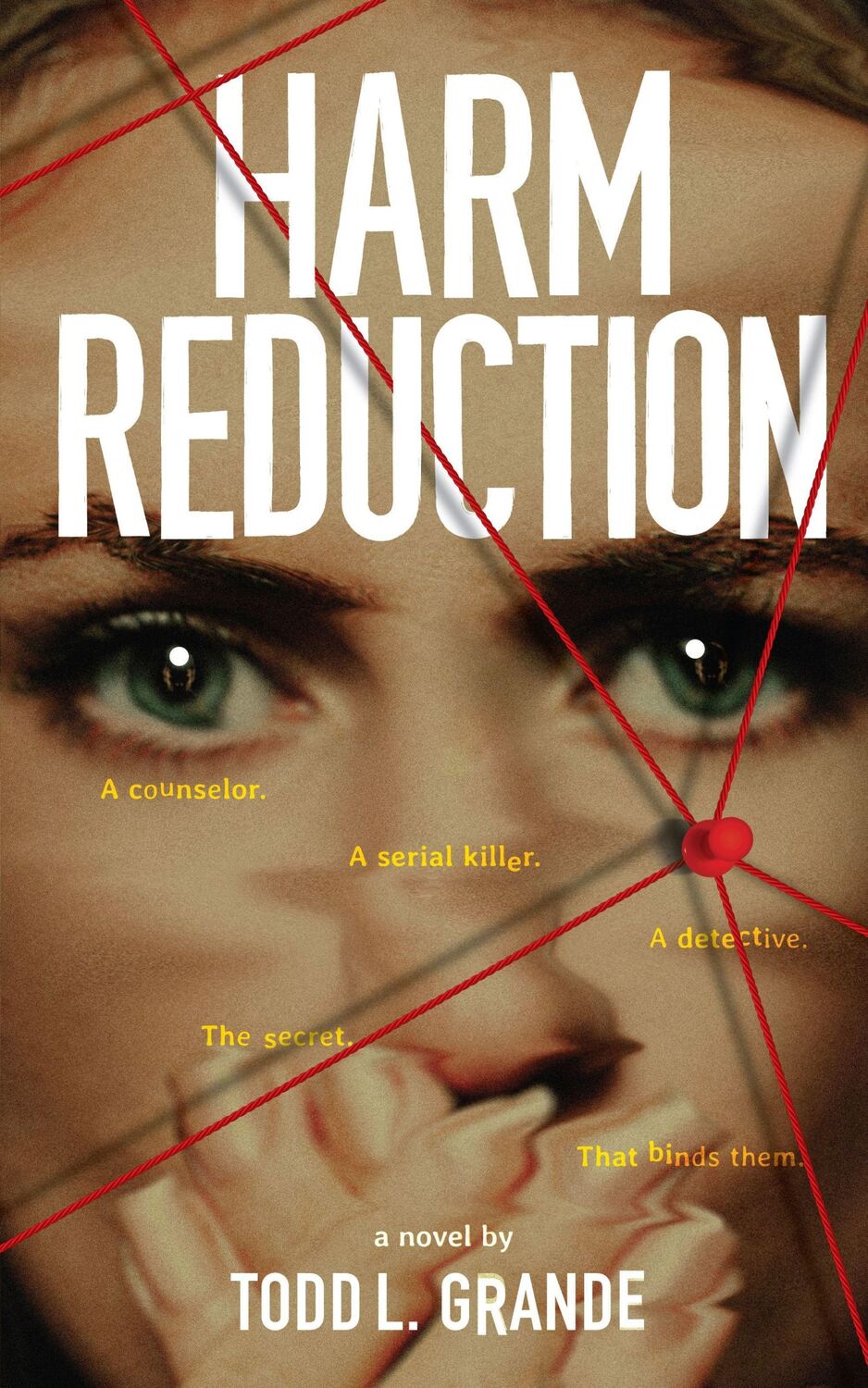 Cover: 9781950057313 | Harm Reduction | Todd Grande | Taschenbuch | Kartoniert / Broschiert