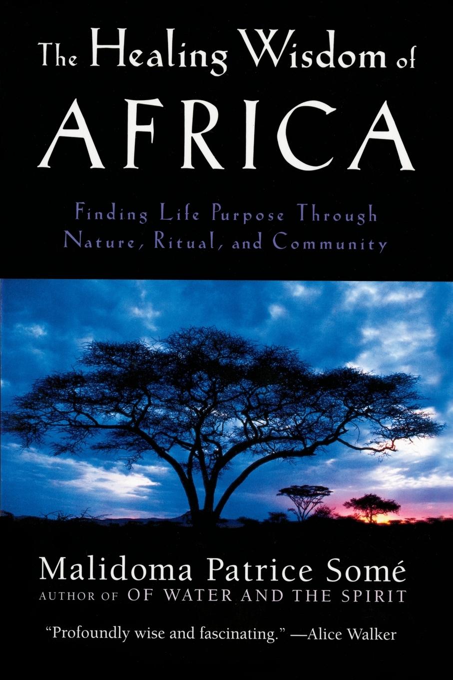 Cover: 9780874779912 | The Healing Wisdom of Africa | Malidoma Patrice Some | Taschenbuch