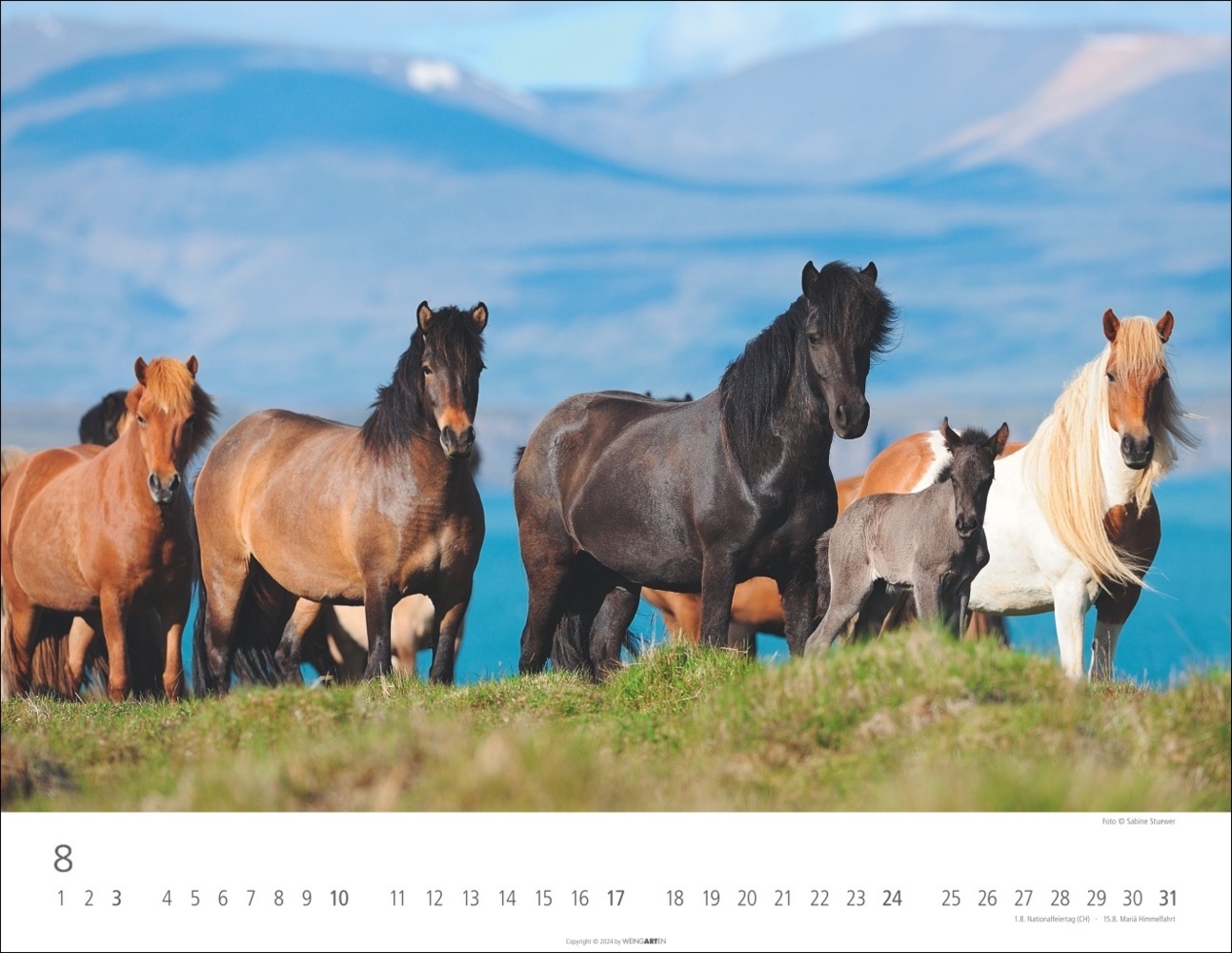 Bild: 9783839900406 | Islandpferde Kalender 2025 | Sabine Stuewer | Kalender | Spiralbindung