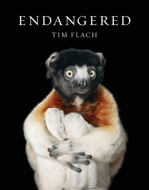 Cover: 9781419726514 | Endangered | Tim Flach (u. a.) | Buch | Englisch | 2017