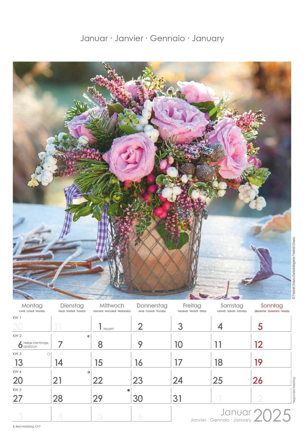 Bild: 4251732340995 | Rosenträume 2025 - Bildkalender 23,7x34 cm - Kalender mit Platz für...