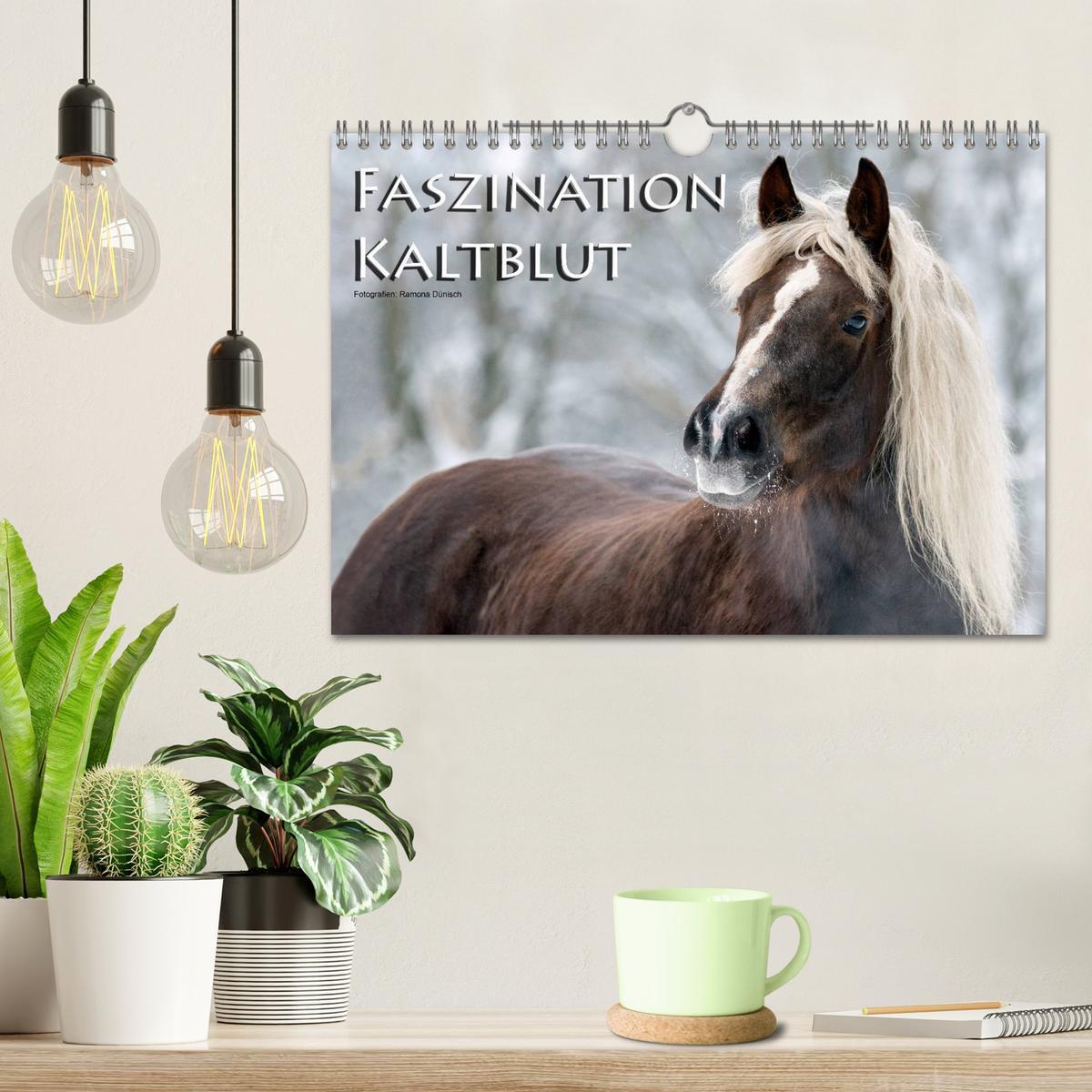 Bild: 9783435750269 | Faszination Kaltblut (Wandkalender 2025 DIN A4 quer), CALVENDO...