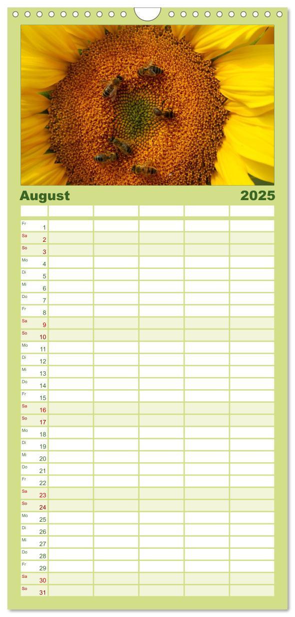 Bild: 9783457110928 | Familienplaner 2025 - Sonnenblumen mit 5 Spalten (Wandkalender, 21...