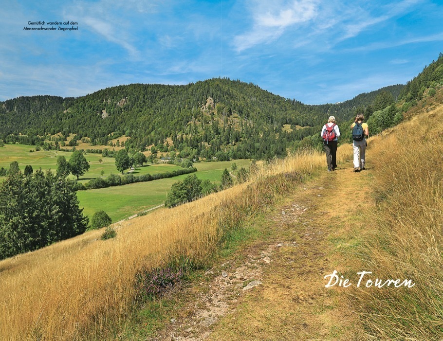 Bild: 9783862467266 | Premiumwanderwege Schwarzwald | Dieter Buck | Taschenbuch | 144 S.