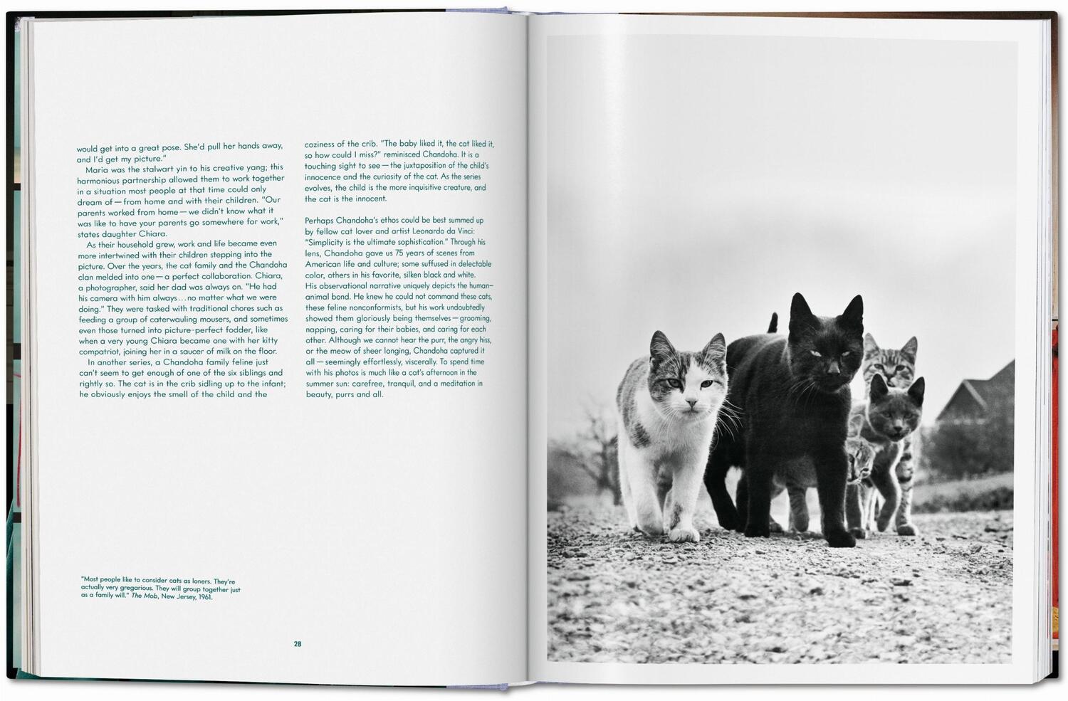 Bild: 9783836573856 | Walter Chandoha. Cats. Photographs 1942-2018 | Susan Michals | Buch