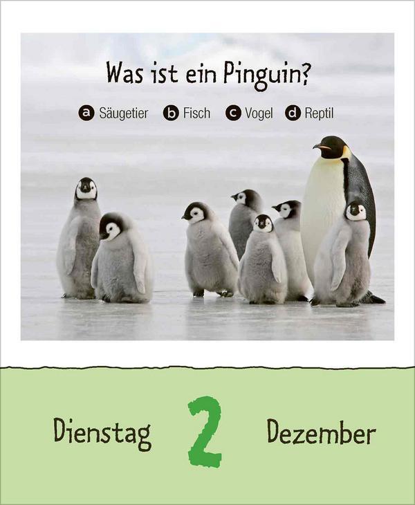 Bild: 9783731877431 | Vorsicht Geheimwissen 2025 | Verlag Korsch | Kalender | 328 S. | 2025