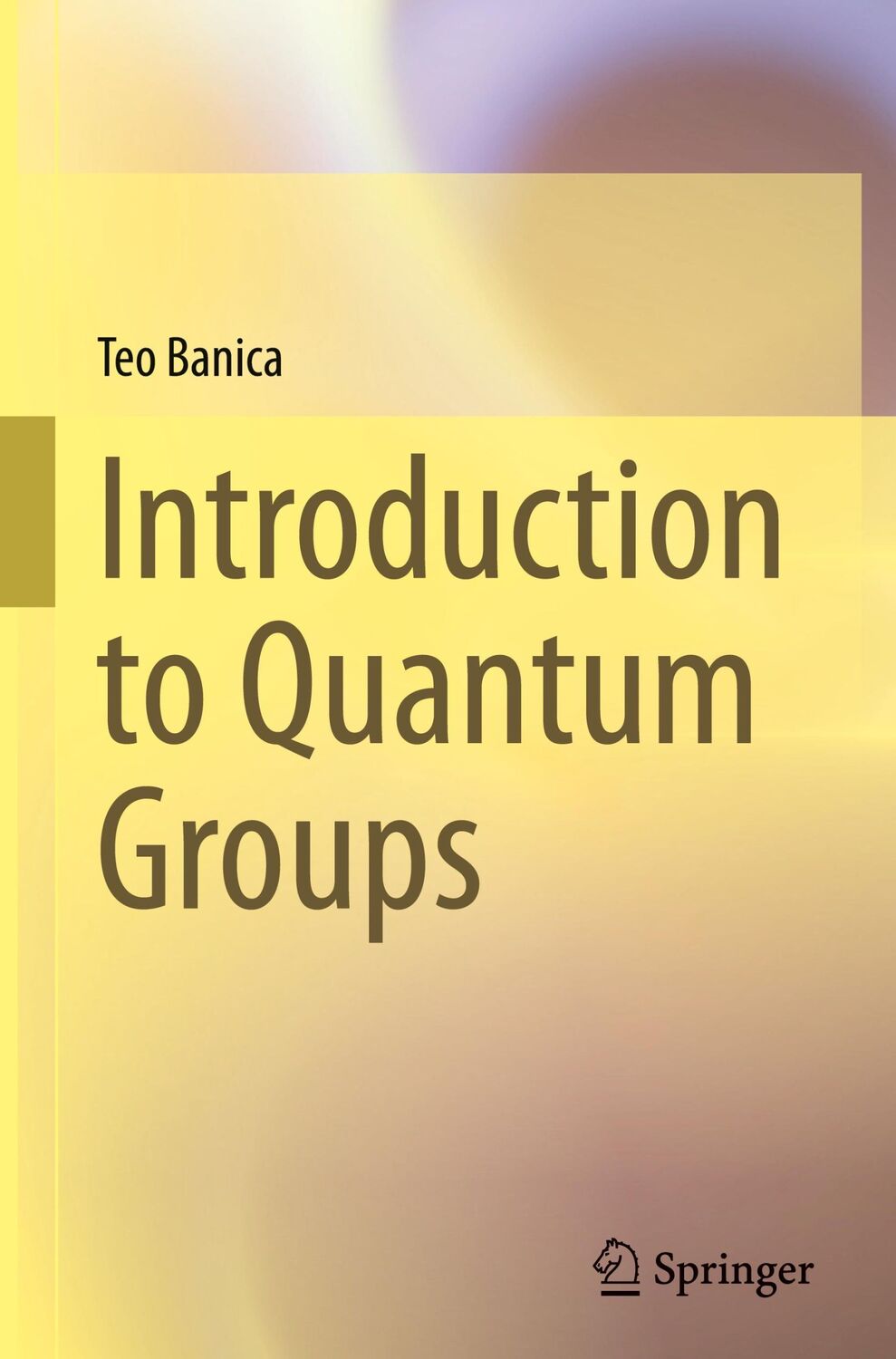 Cover: 9783031238161 | Introduction to Quantum Groups | Teo Banica | Buch | x | Englisch