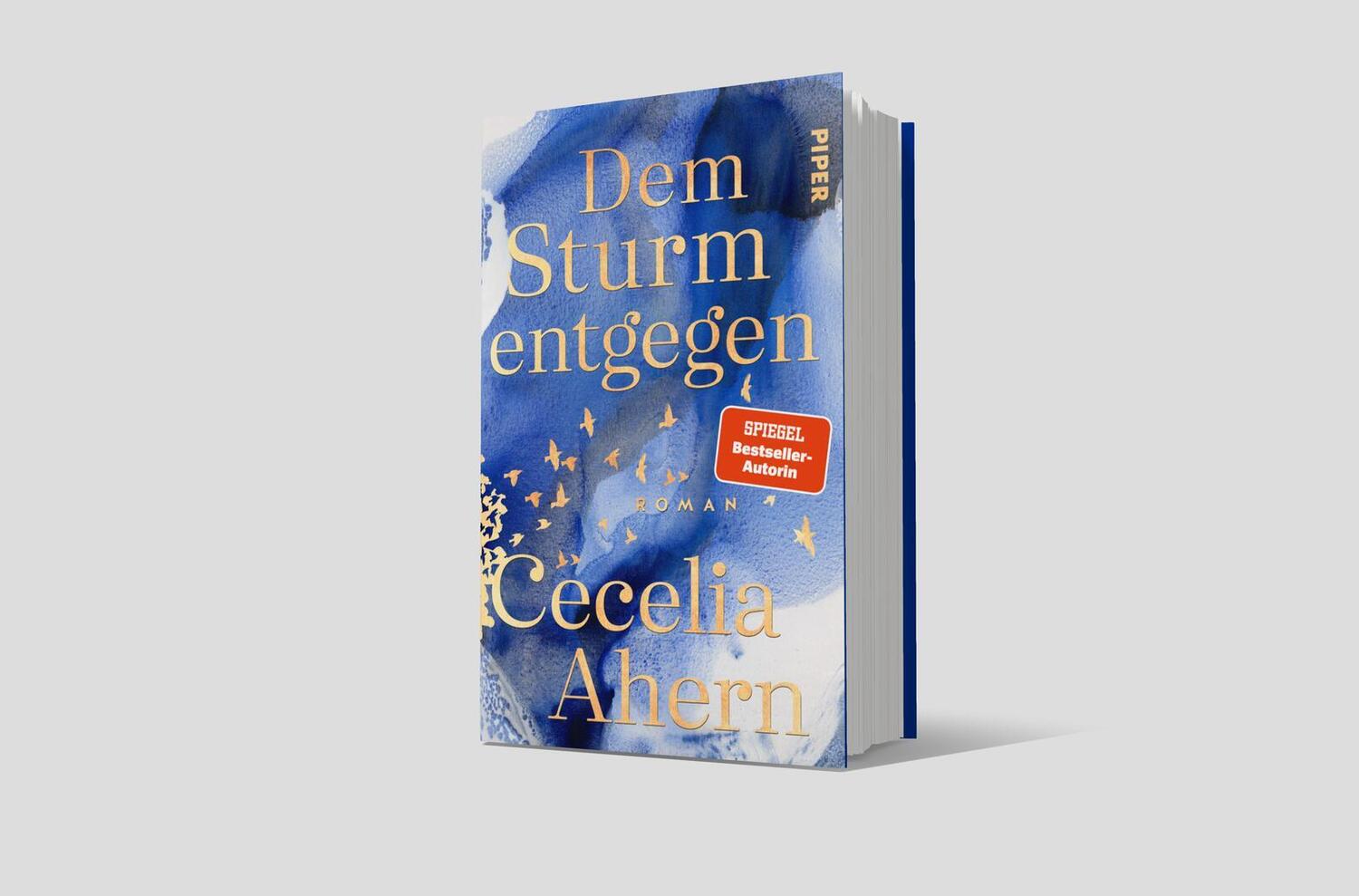 Bild: 9783492071819 | Dem Sturm entgegen | Cecelia Ahern | Buch | 448 S. | Deutsch | 2024