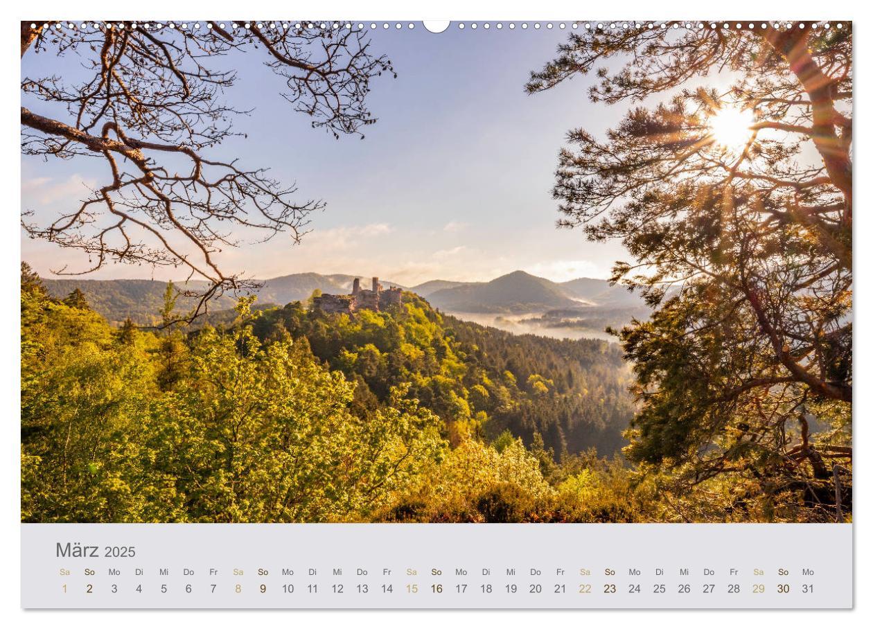 Bild: 9783435215621 | Augenblicke im Pfälzerwald (Wandkalender 2025 DIN A2 quer),...