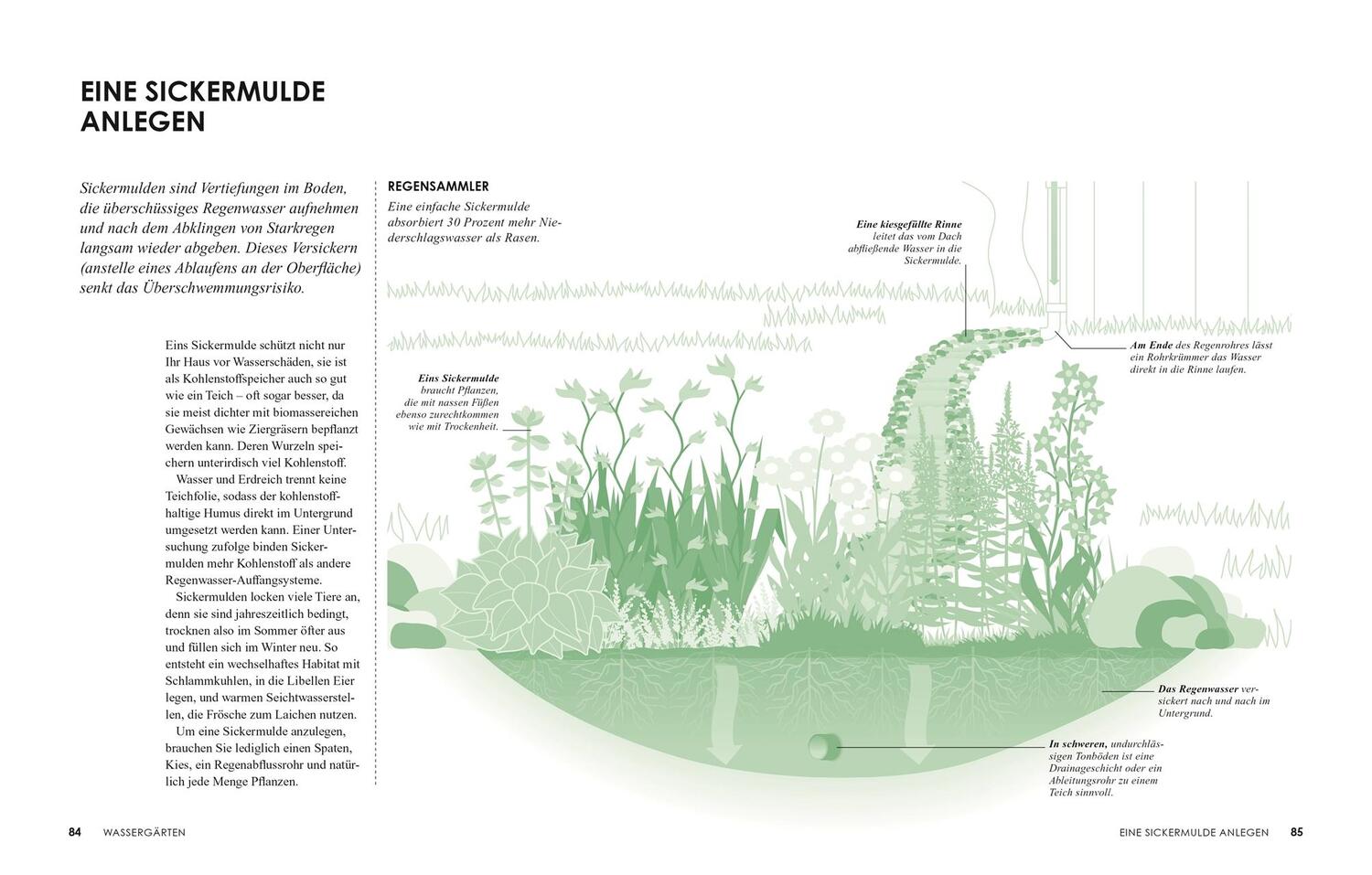 Bild: 9783831043880 | Klimafreundlich gärtnern | Sally Nex | Taschenbuch | Paperback | 2022