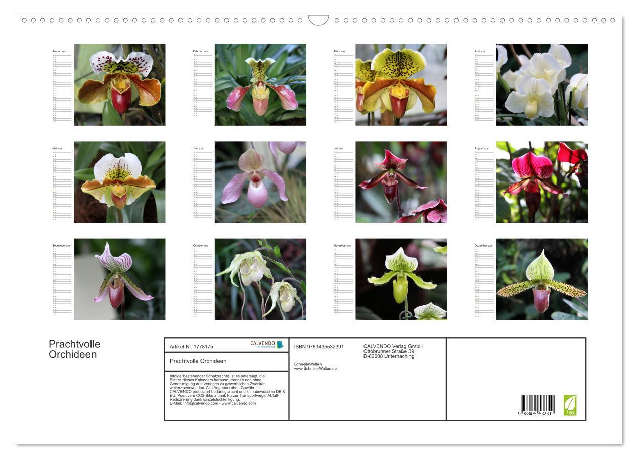 Bild: 9783435532391 | Prachtvolle Orchideen (Wandkalender 2025 DIN A2 quer), CALVENDO...