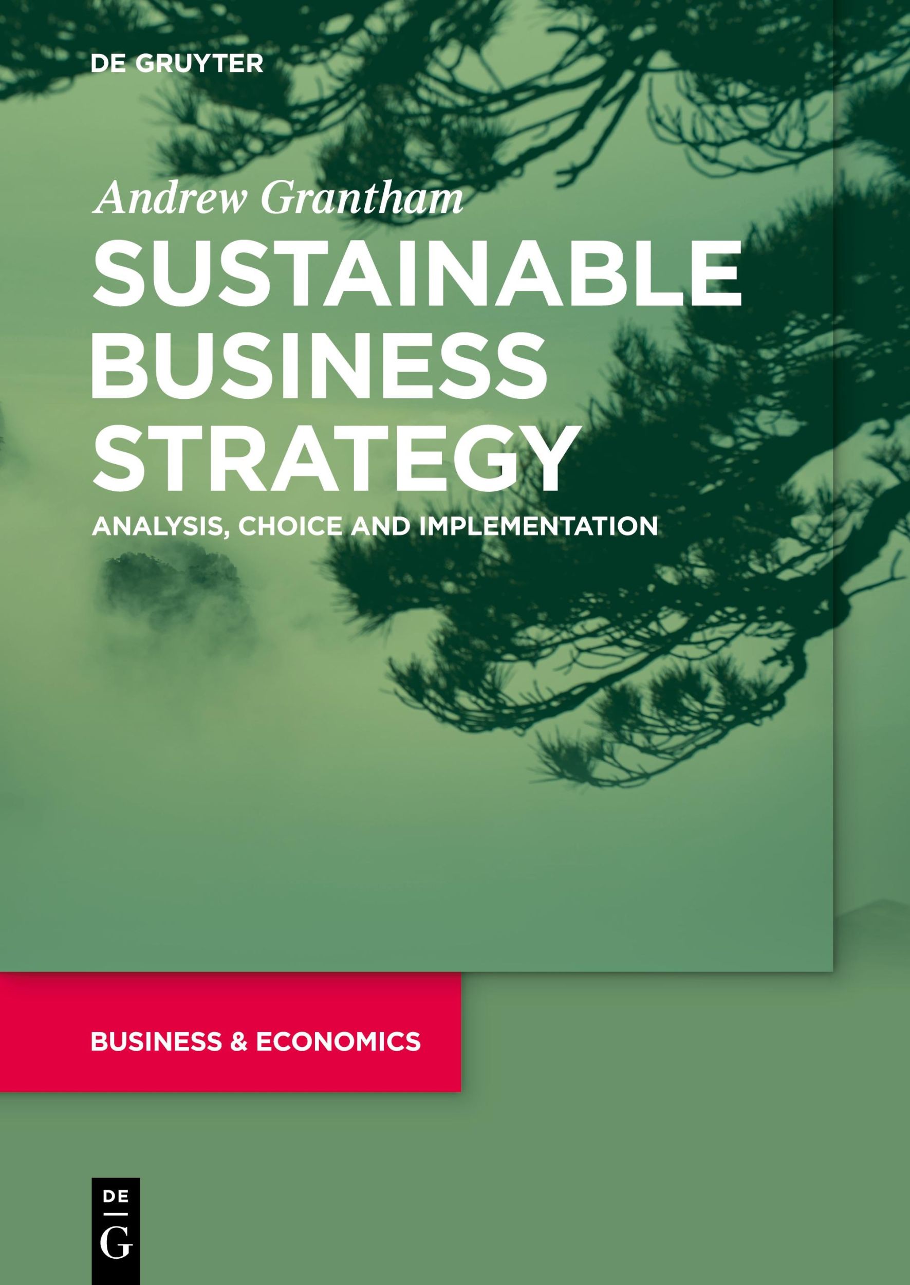 Cover: 9783110718188 | Sustainable Business Strategy | Analysis, Choice and Implementation