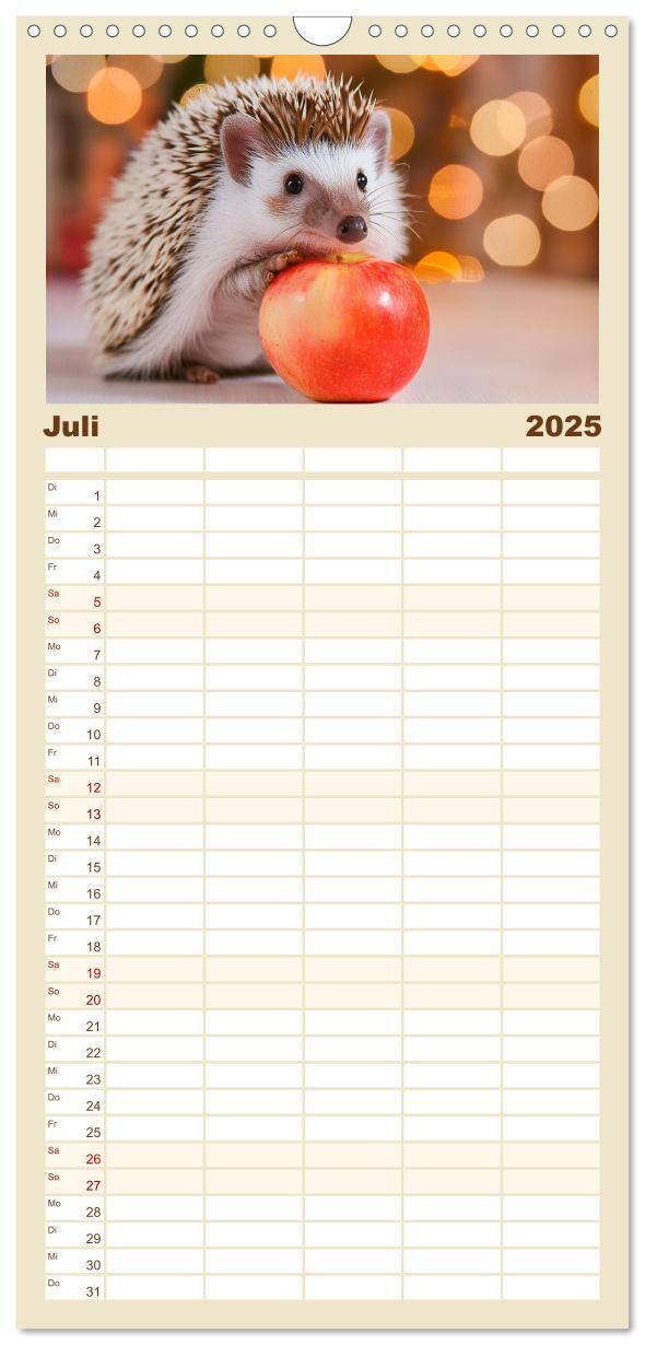 Bild: 9783457193037 | Familienplaner 2025 - Mein Igel-Kalender mit 5 Spalten...