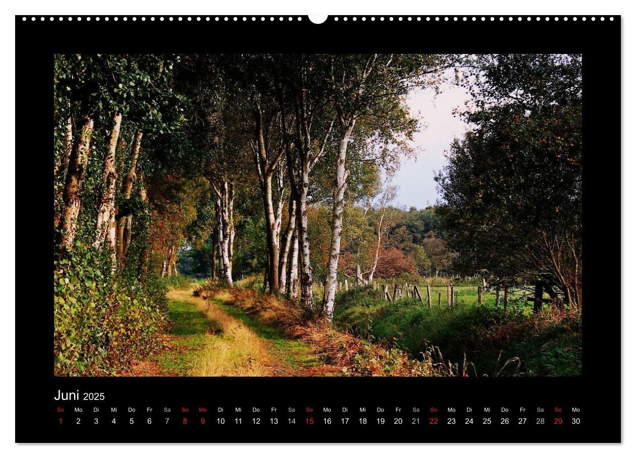 Bild: 9783435731398 | Landschaft Teufelsmoor / 2025 (Wandkalender 2025 DIN A2 quer),...