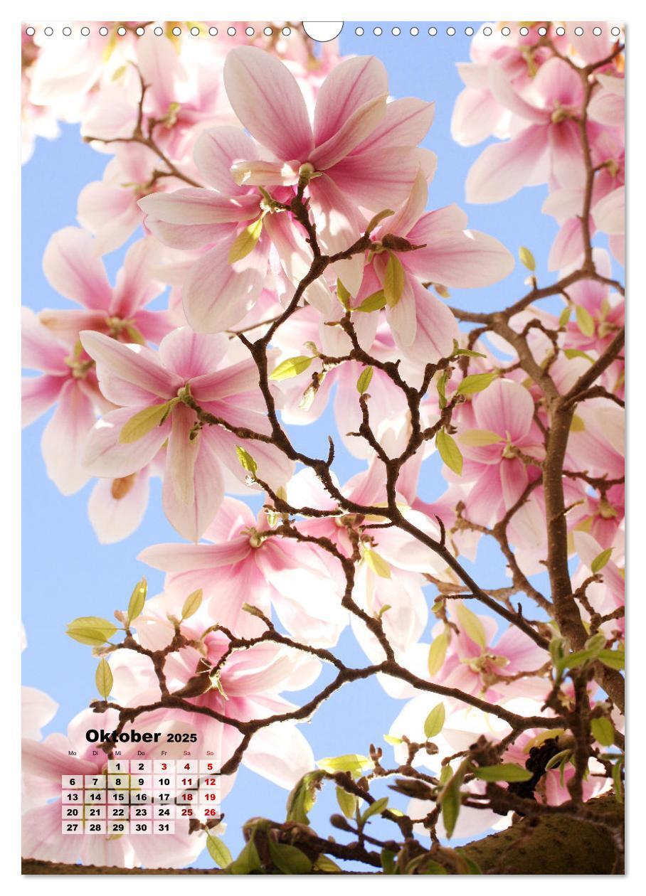 Bild: 9783435924615 | Magnolien Ein Frühlingstraum (Wandkalender 2025 DIN A3 hoch),...