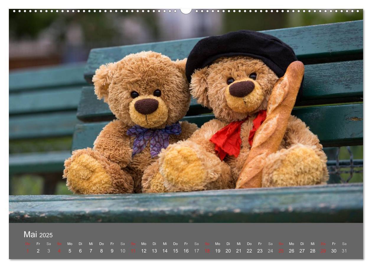 Bild: 9783435490356 | Travelling Teddy 2025 (hochwertiger Premium Wandkalender 2025 DIN...