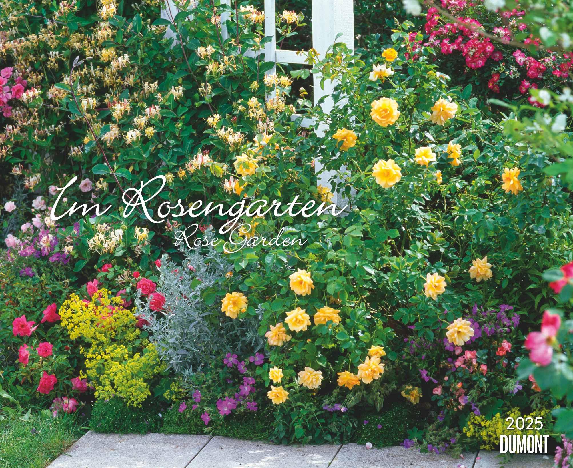 Cover: 4250809653457 | Im Rosengarten 2025 - DUMONT Garten-Kalender - Querformat 52 x 42,5...