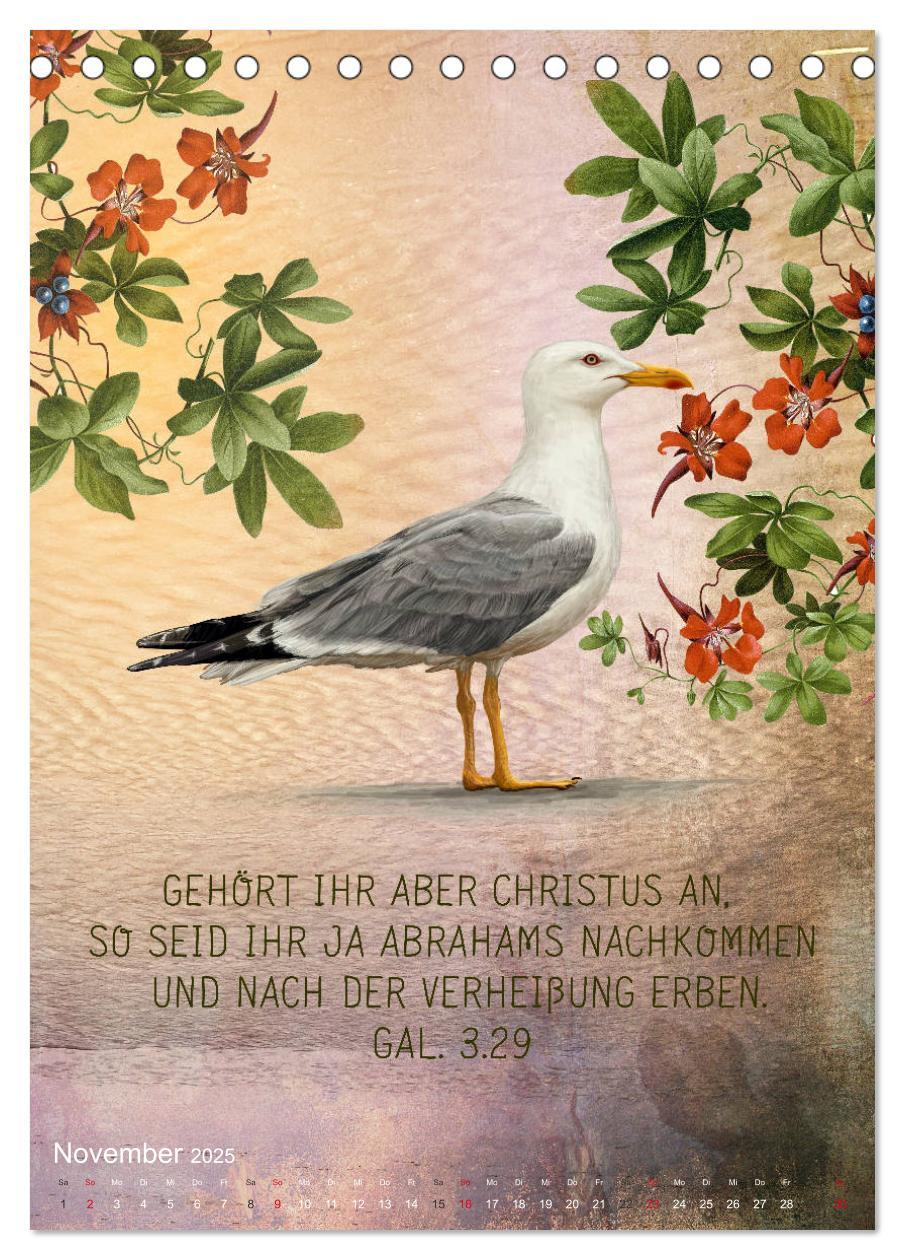 Bild: 9783435961399 | Bibelworte für Vogelfreunde (Tischkalender 2025 DIN A5 hoch),...