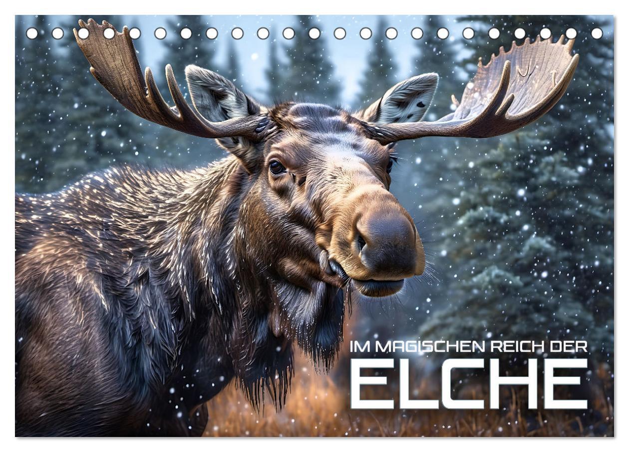 Cover: 9783435054138 | Im magischen Reich der Elche (Tischkalender 2025 DIN A5 quer),...