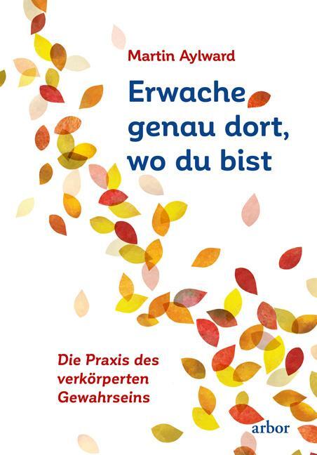 Cover: 9783867813907 | Erwache genau dort, wo du bist | Martin Aylward | Taschenbuch | 267 S.