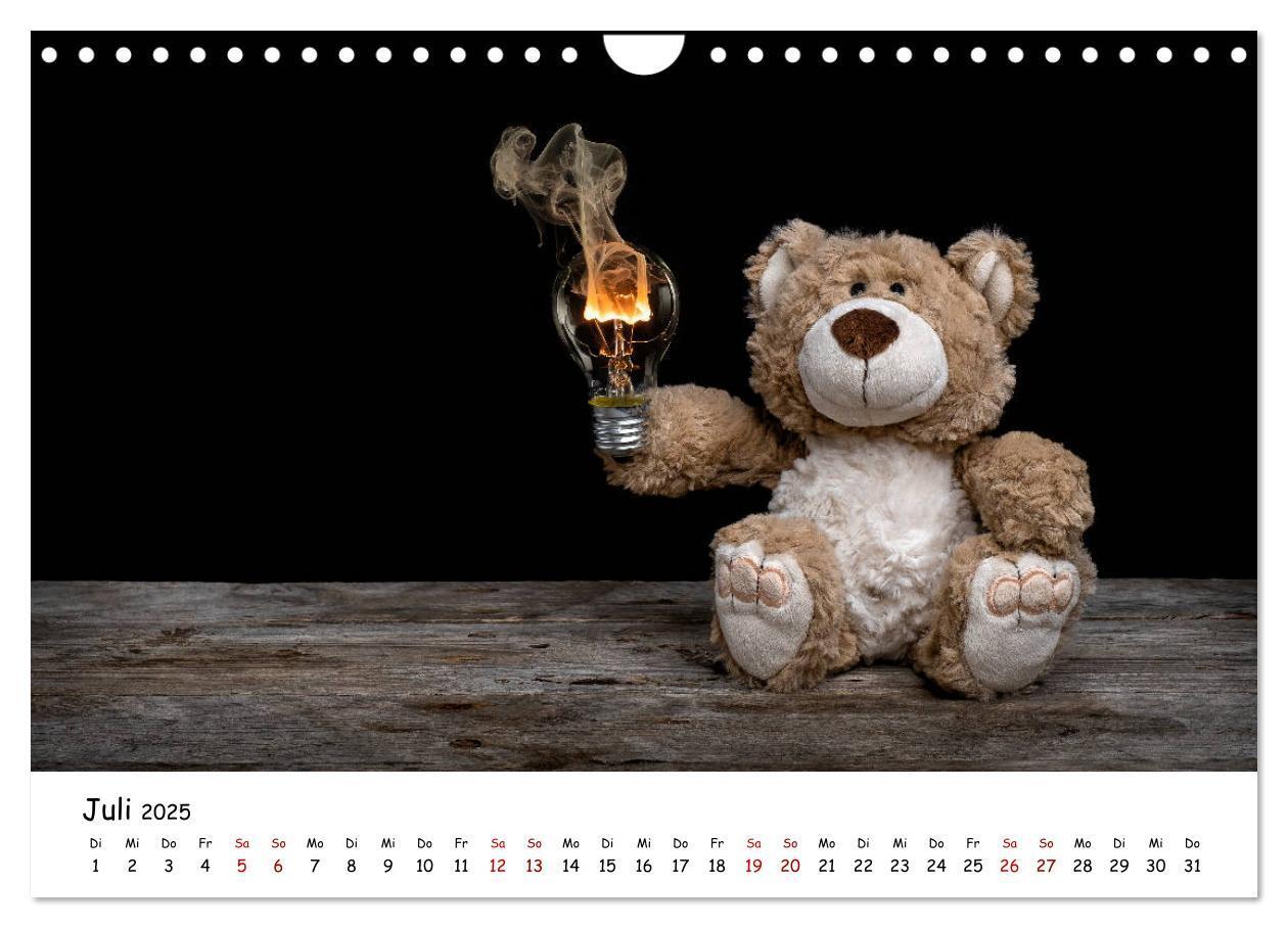 Bild: 9783435254767 | Eddy, der Teddy (Wandkalender 2025 DIN A4 quer), CALVENDO...