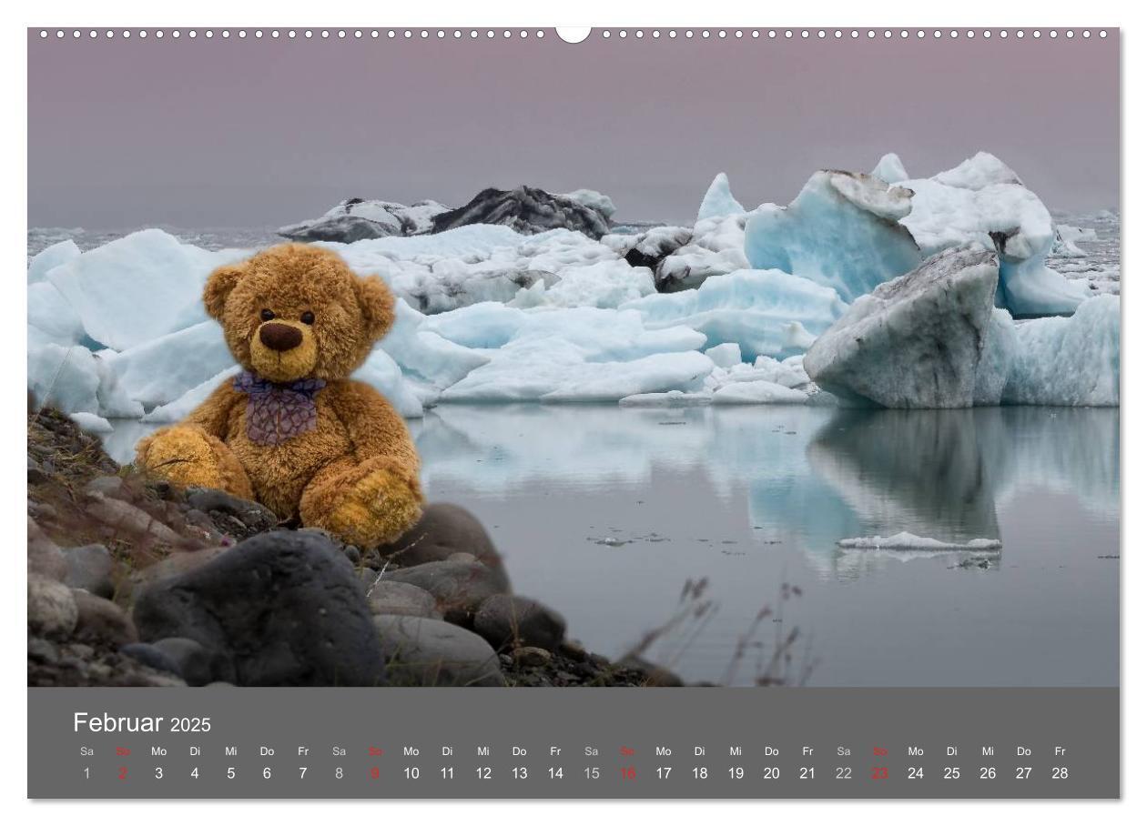 Bild: 9783435490356 | Travelling Teddy 2025 (hochwertiger Premium Wandkalender 2025 DIN...