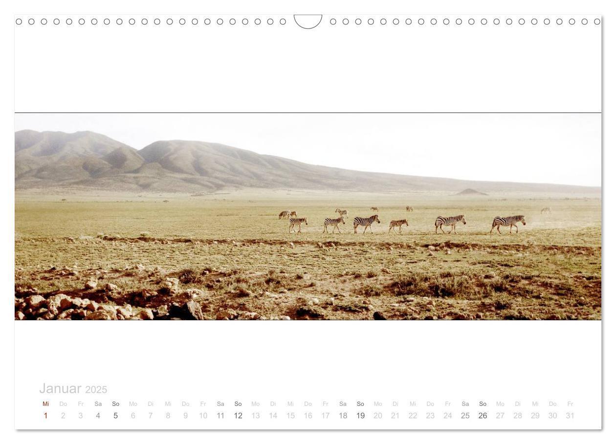 Bild: 9783435687145 | Serengeti Panorama (Wandkalender 2025 DIN A3 quer), CALVENDO...