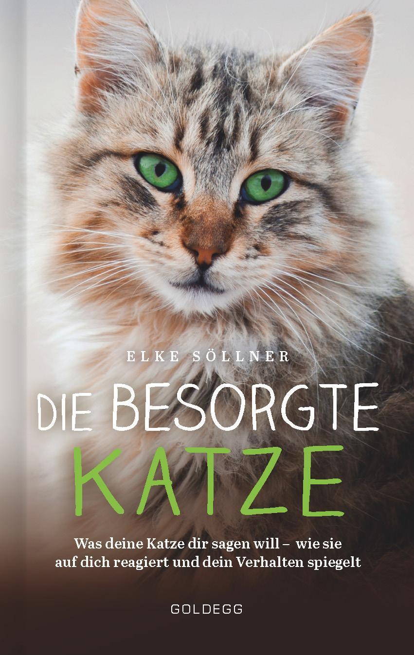 Cover: 9783990601853 | Die besorgte Katze. Was Ihre Katze Ihnen sagen möchte. Warum...