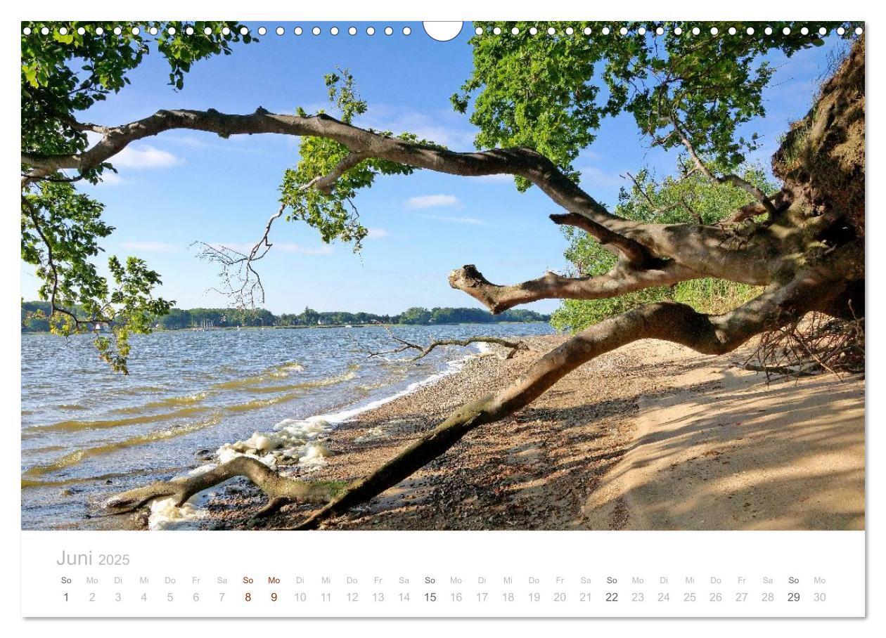 Bild: 9783435629251 | Zauberhafte Schlei (Wandkalender 2025 DIN A3 quer), CALVENDO...