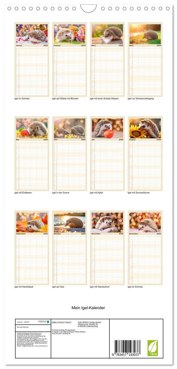 Bild: 9783457193037 | Familienplaner 2025 - Mein Igel-Kalender mit 5 Spalten...