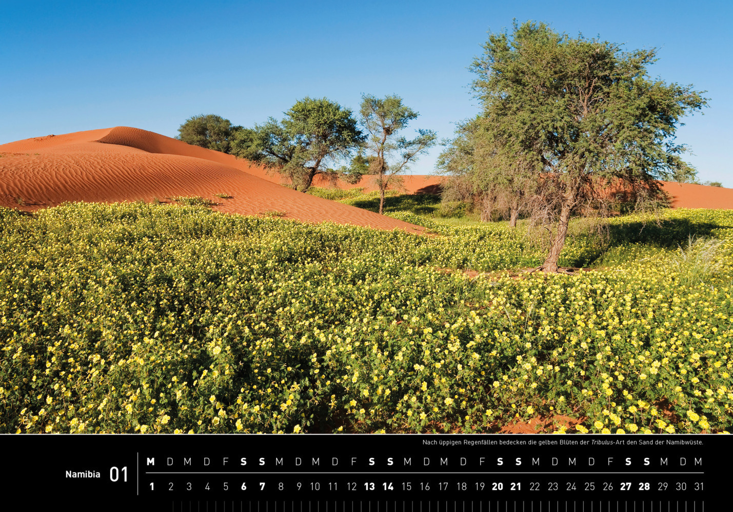 Bild: 9783968553481 | 360° Namibia Premiumkalender 2024 | Thomas Dreßler | Kalender | 2024