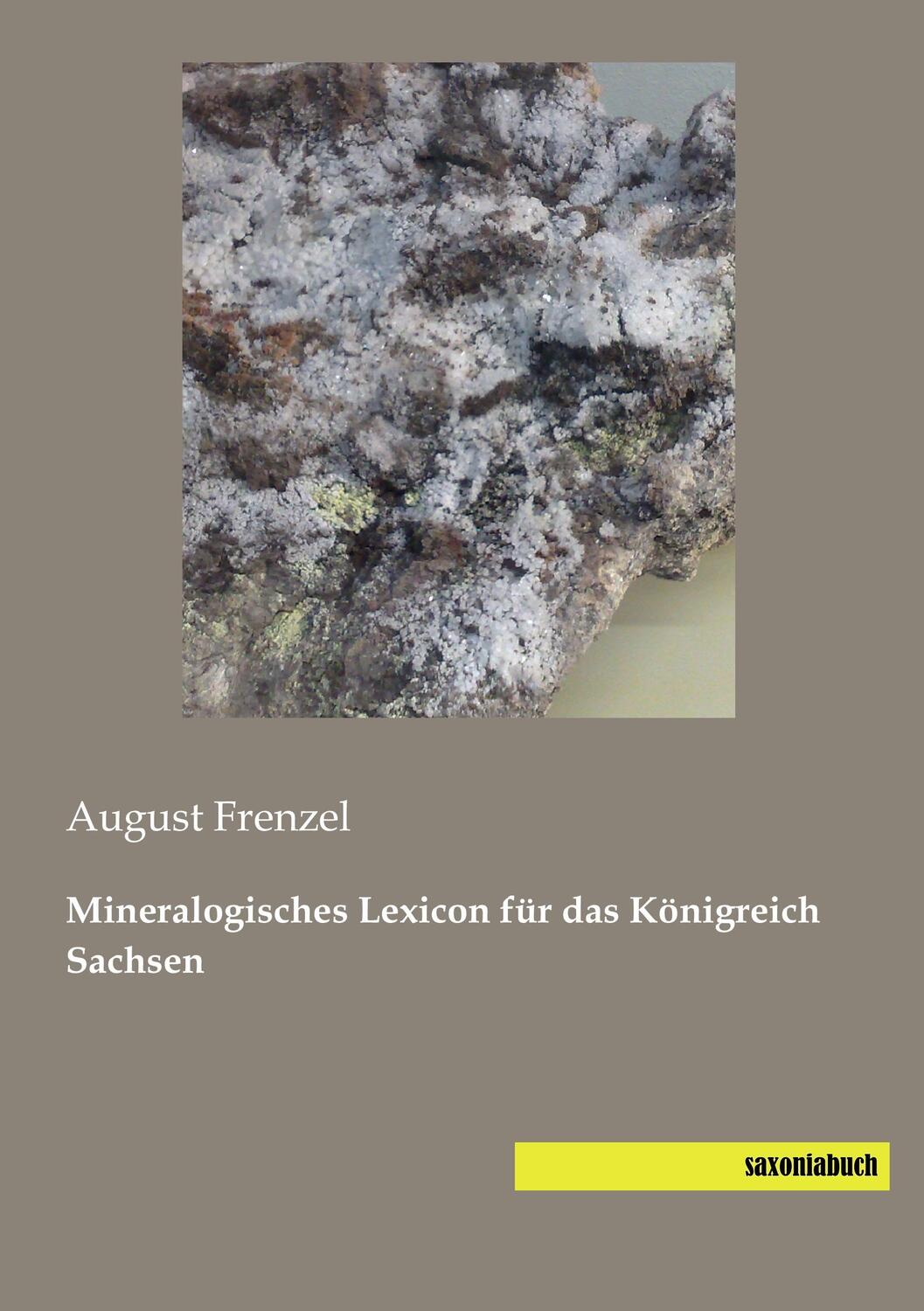 Cover: 9783944822099 | Mineralogisches Lexicon für das Königreich Sachsen | August Frenzel