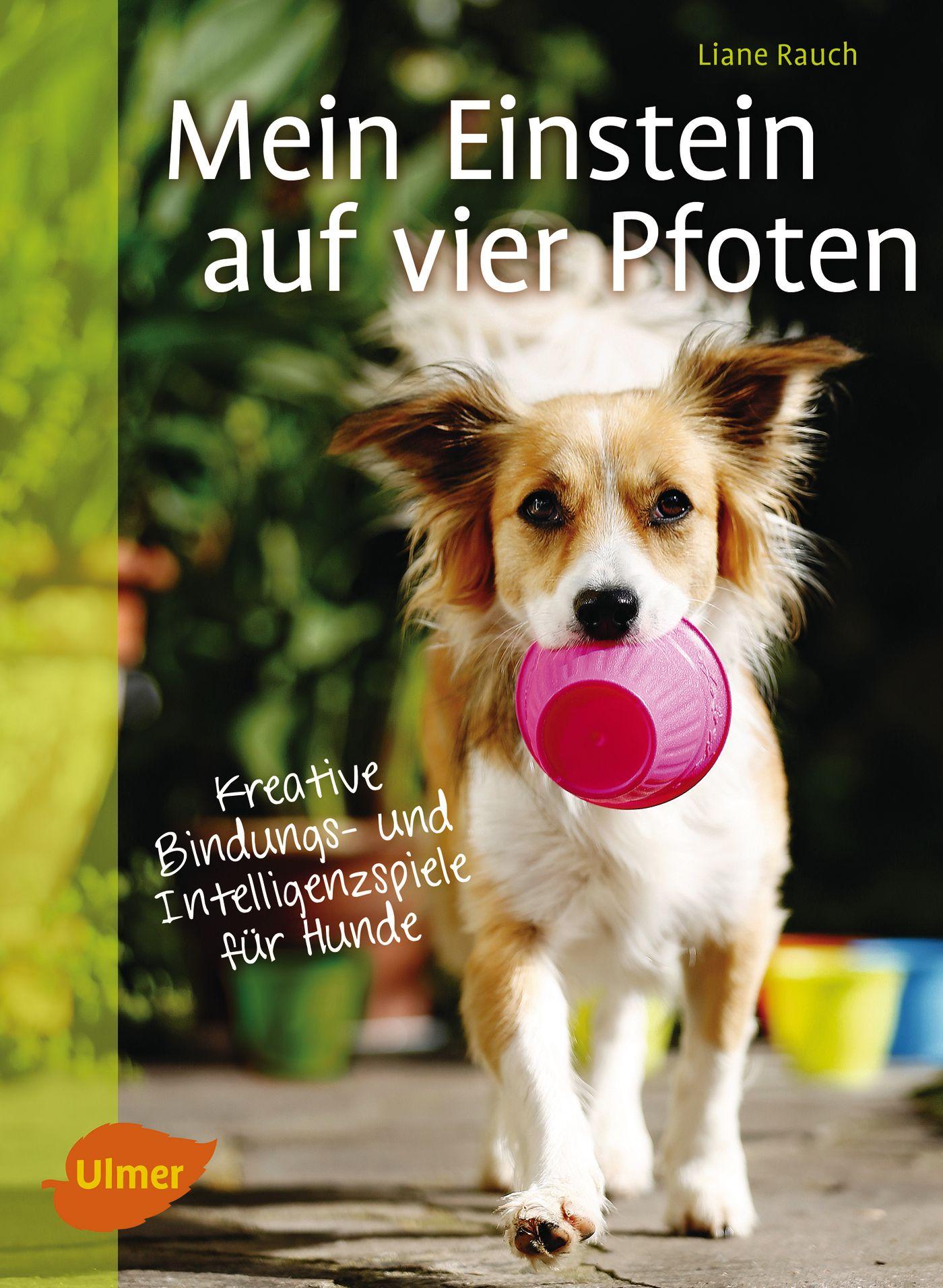 Cover: 9783800108206 | Mein Einstein auf vier Pfoten | Liane Rauch | Taschenbuch | 96 S.