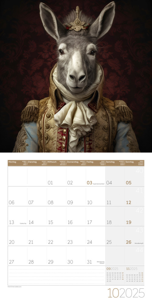 Bild: 9783838445069 | Animal Kingdom Kalender 2025 - 30x30 | Ackermann Kunstverlag | 28 S.