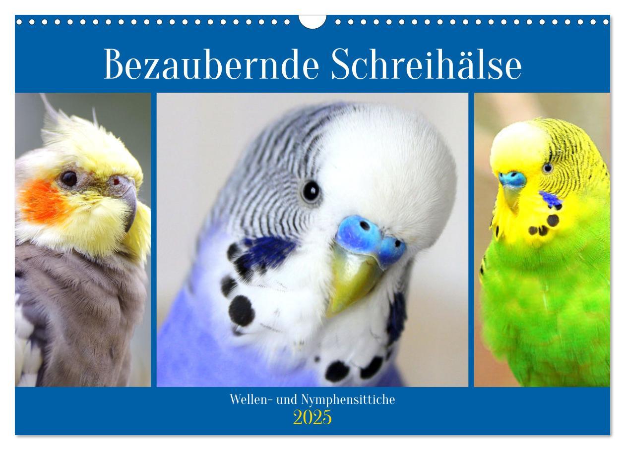 Cover: 9783435026425 | Bezaubernde Schreihälse. Wellen- und Nymphensittiche (Wandkalender...