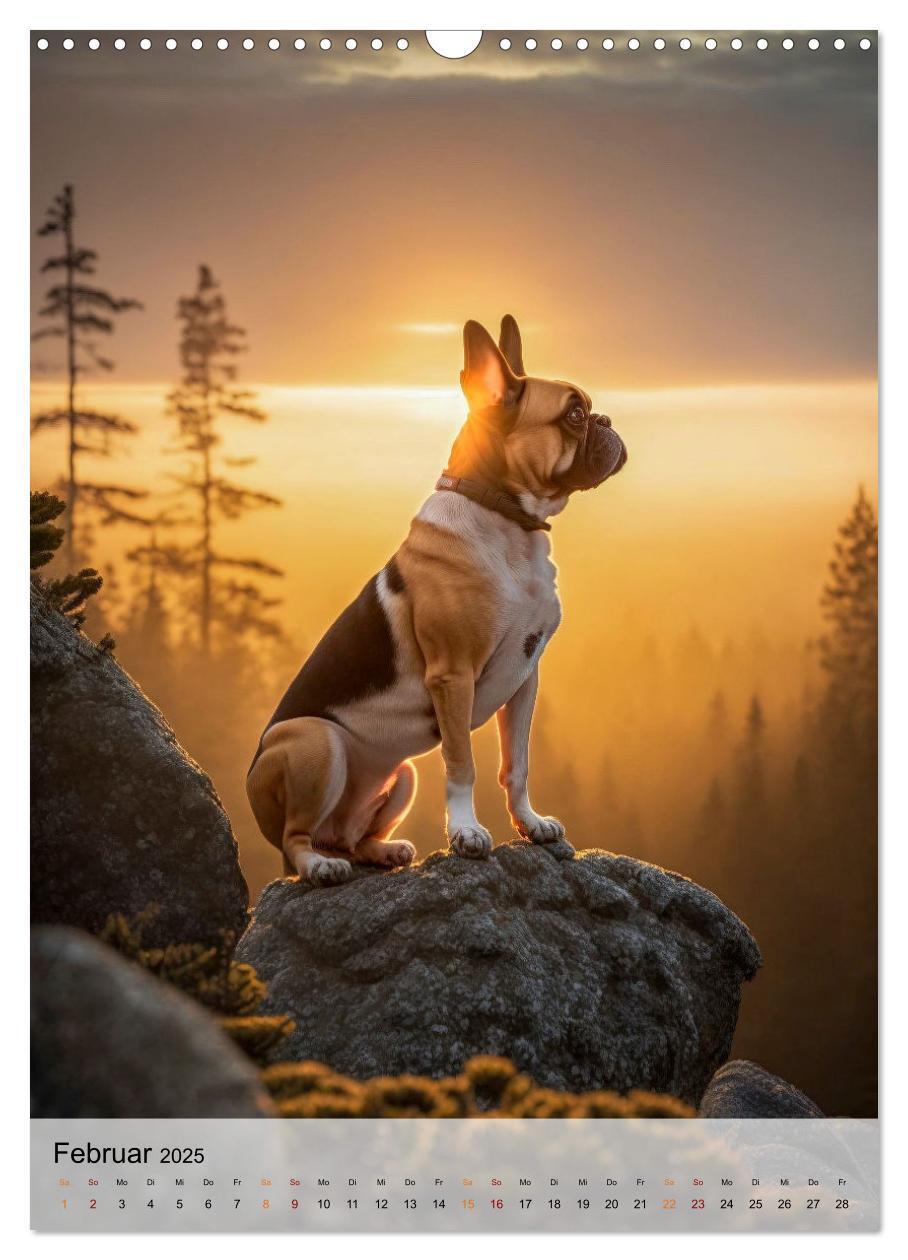 Bild: 9783435881048 | Französische Bulldogge - ein Hund für die Familie (Wandkalender...